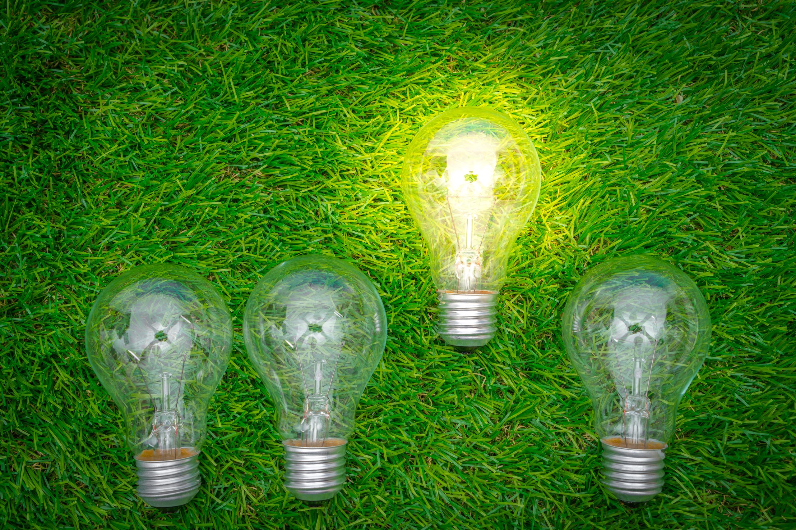 Eco Concept Light Bulb Grow In The Grass